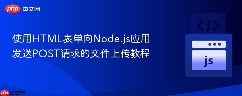 使用html表单向node.js应用发送post请求的文件上传教程