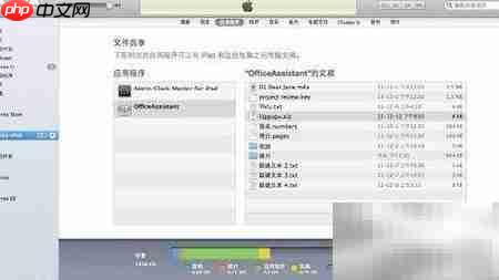 Office办公助手功能全解析