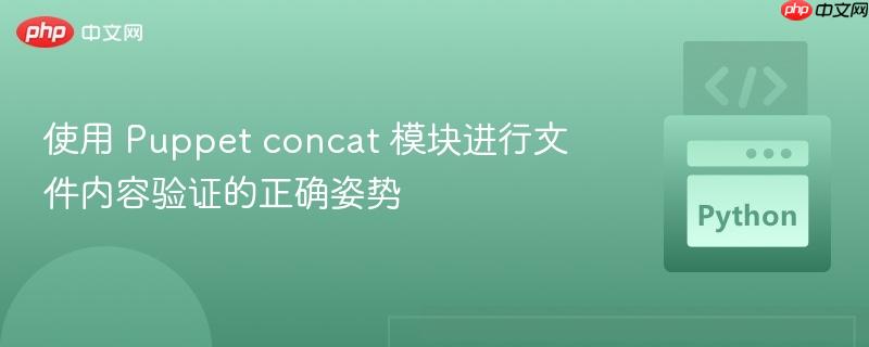 使用 puppet concat 模块进行文件内容验证的正确姿势