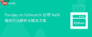 Pandas str.fullmatch 处理 NaN 值的行为解析与解决方案