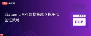 Statamic API 数据集成与程序化验证策略