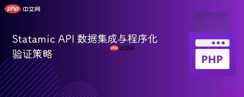 Statamic API 数据集成与程序化验证策略