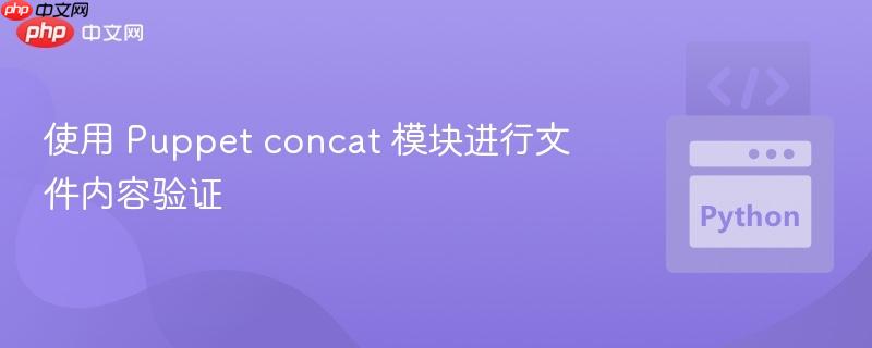使用 puppet concat 模块进行文件内容验证