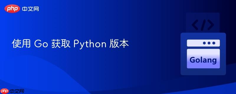 使用 go 获取 python 版本