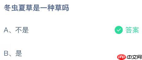 冬虫夏草是一种草吗?蚂蚁庄园课堂今天答案最新11月18日