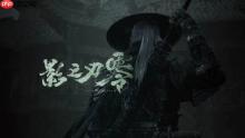 外媒赞《影之刃零》下个