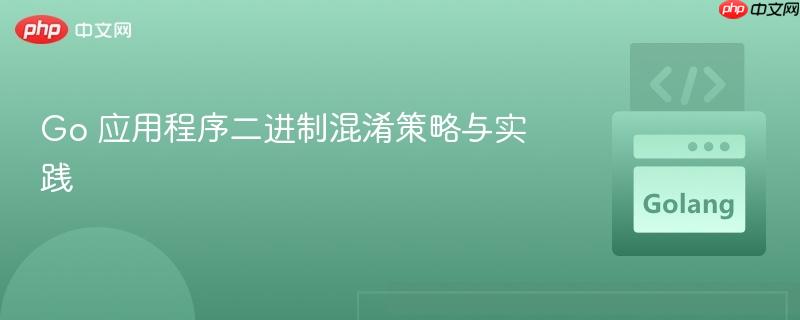 Go 应用程序二进制混淆策略与实践
