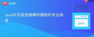 Java中实现音频循环播放的专业指南