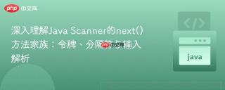 深入理解Java Scanner的next()方法家族：令牌、分隔符与输入解析