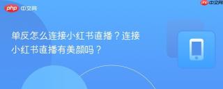 单反怎么连接小红书直播？连接小红书直播有美颜吗？