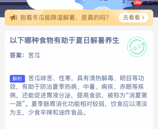 以下哪种食物有助于夏日解暑养生