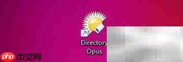 directory opus参考表格大小设置