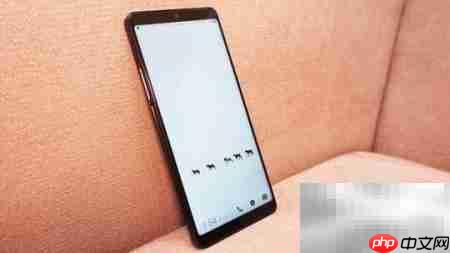 坚果Pro 2开箱体验