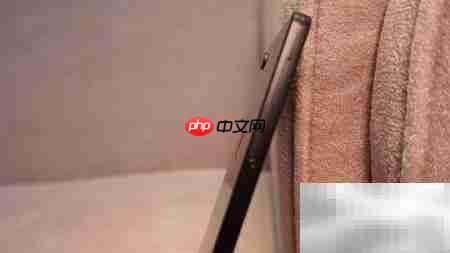 坚果Pro 2开箱体验