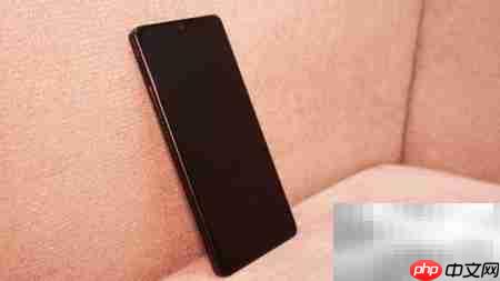 坚果Pro 2开箱体验