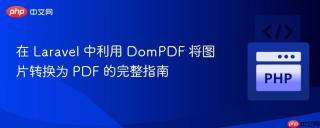 在 Laravel 中利用 DomPDF 将图片转换为 PDF 的完整指南