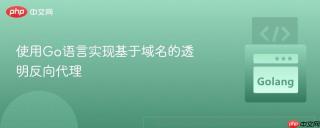 使用Go语言实现基于域名的透明反向代理