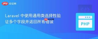 Laravel 中使用通用类选择性验证多个字段并返回所有错误