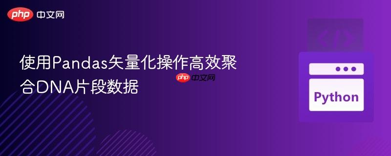 使用pandas矢量化操作高效聚合dna片段数据