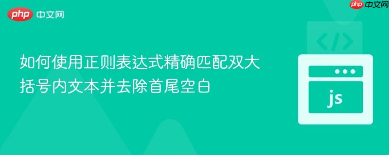 如何使用正则表达式精确匹配双大括号内文本并去除首尾空白