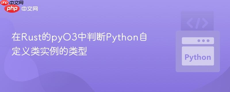 在rust的pyo3中判断python自定义类实例的类型
