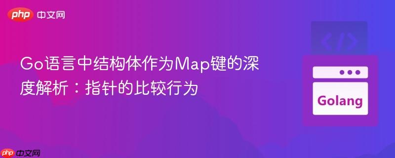 go语言中结构体作为map键的深度解析：指针的比较行为