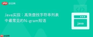 Java实现：高效查找字符串列表中最常见的N-gram短语