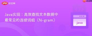 Java实现：高效查找文本数据中最常见的连续词组（N-gram）