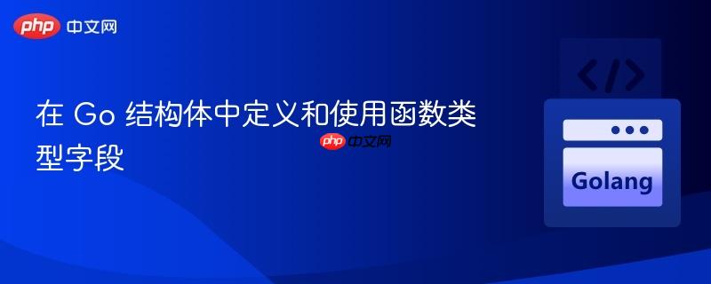 在 Go 结构体中定义和使用函数类型字段
