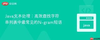 Java文本处理：高效查找字符串列表中最常见的N-gram短语
