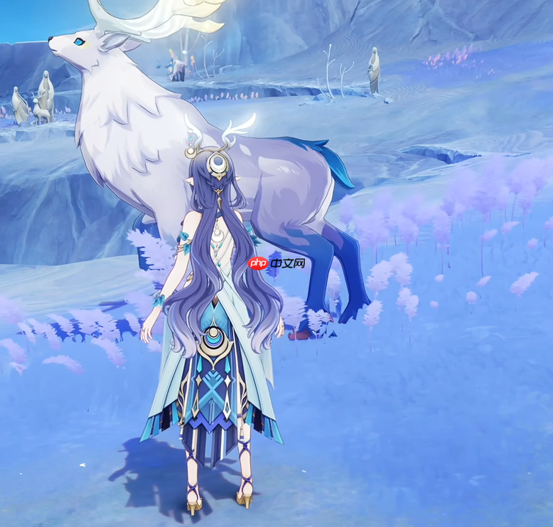 《原神》菈乌玛配队攻略