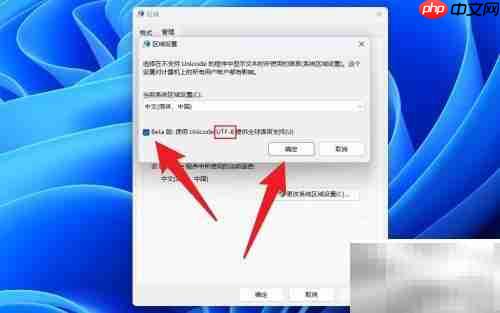 Win11启用UTF-8编码设置