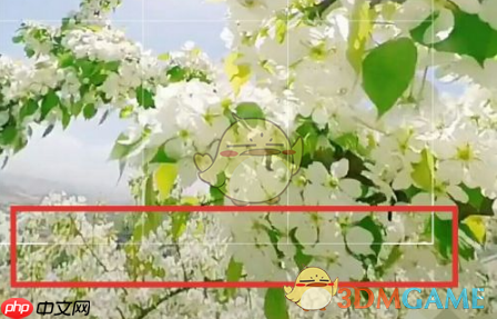 《爱剪辑》裁剪区域教程