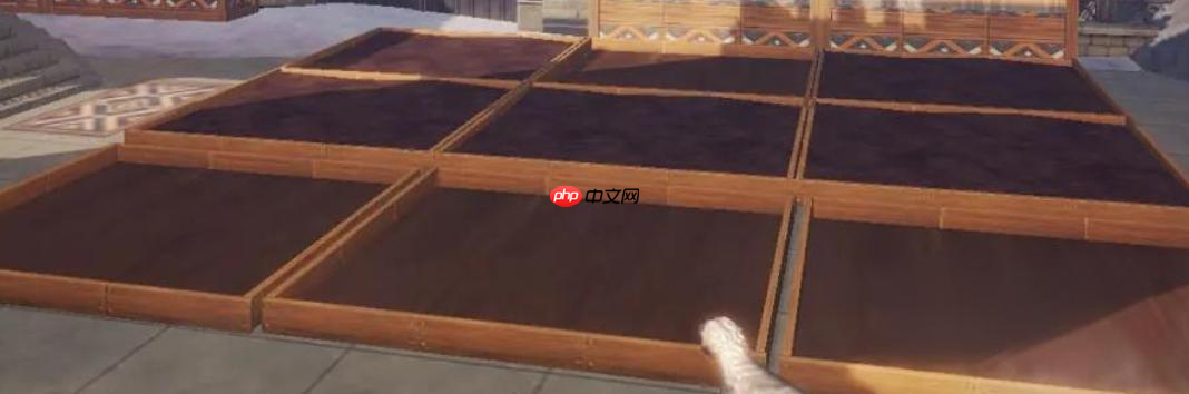 《荒原曙光》浇水方法介绍