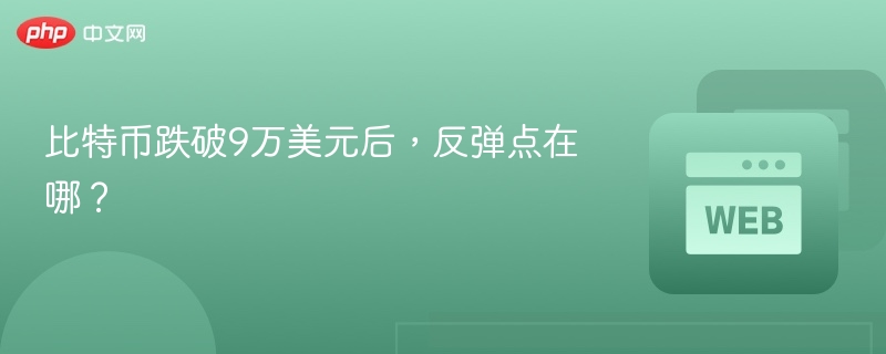 比特币跌破9万美元后,反弹点在哪?