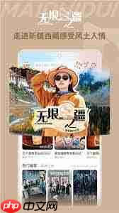 埋堆堆电视剧怎么下载