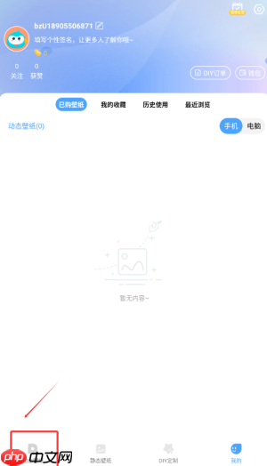 《小鸟壁纸》壁纸榜单查看方法