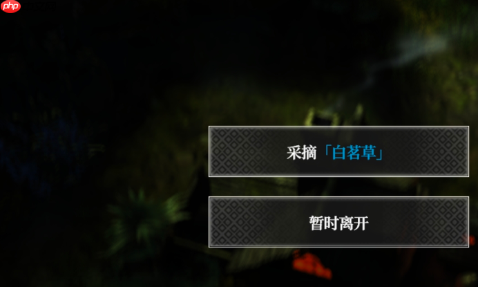 《地下城堡4：骑士与破碎编年史》白茗草打法攻略