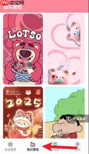 草莓壁纸app使用指南