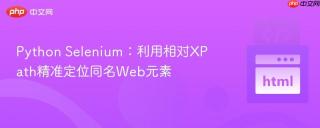 Python Selenium：利用相对XPath精准定位同名Web元素