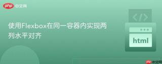 使用Flexbox在同一容器内实现两列水平对齐