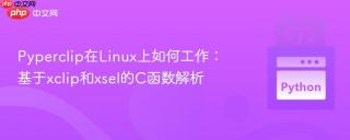 Pyperclip在Linux上如何工作:基于xclip和xsel的C函数解析