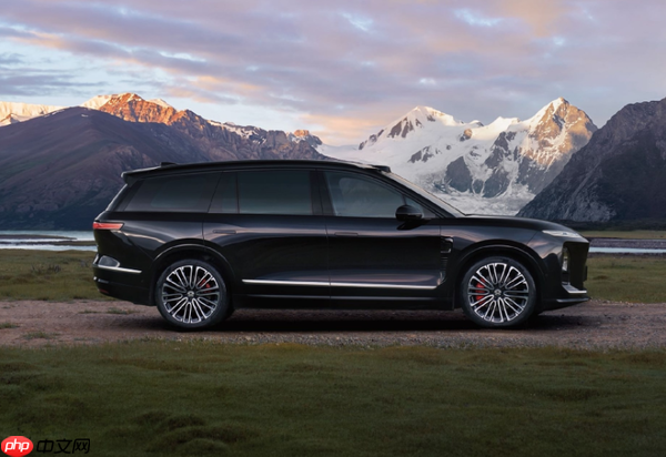 蔚来自研高阶智驾芯片开始技术外供 订单价值可能上亿