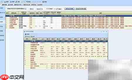 最新版投资项目经济评价软件