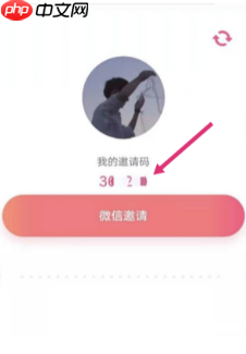 《恋爱记》查看配对码方法