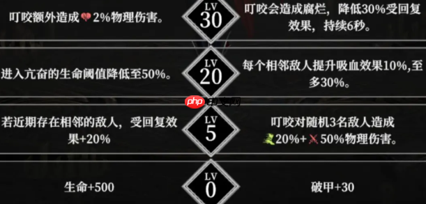 《地下城堡4:骑士与破碎编年史》夜魅玩法介绍