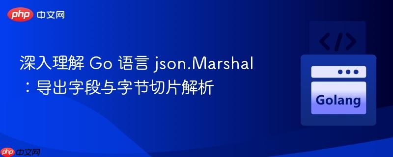 深入理解 Go 语言 json.Marshal：导出字段与字节切片解析
