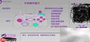 蓝牙手柄游戏映射教程