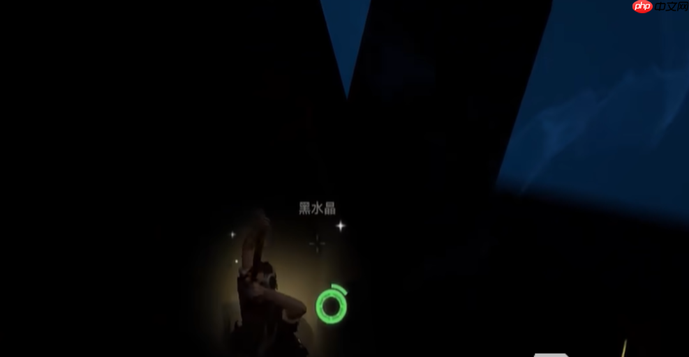 《荒原曙光》黑林进入方法