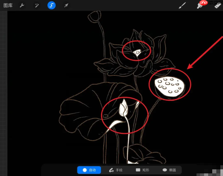 《procreate》线稿提取教程